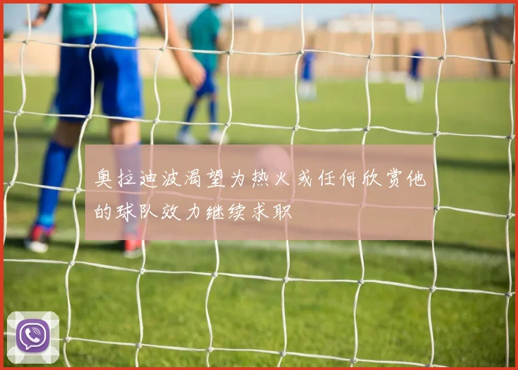 奥拉迪波渴望为热火或任何欣赏他的球队效力继续求职