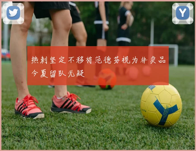 热刺坚定不移将范德芬视为非卖品今夏留队无疑