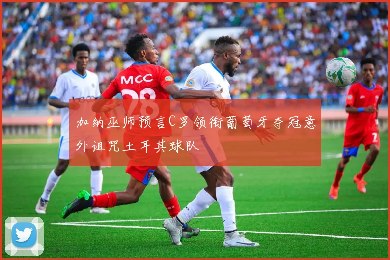 加纳巫师预言C罗领衔葡萄牙夺冠意外诅咒土耳其球队