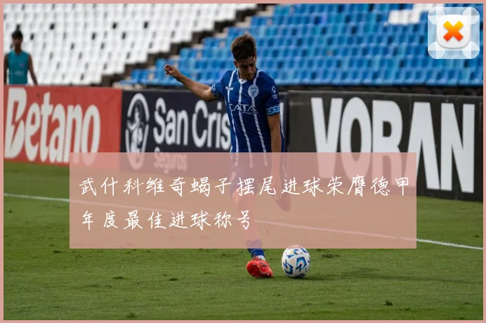 武什科维奇蝎子摆尾进球荣膺德甲年度最佳进球称号