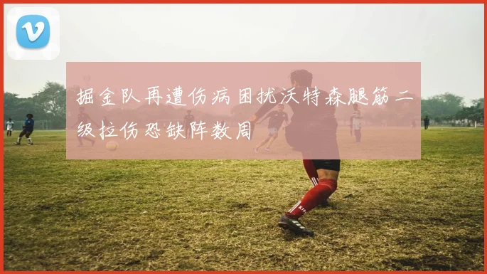 掘金队再遭伤病困扰沃特森腿筋二级拉伤恐缺阵数周
