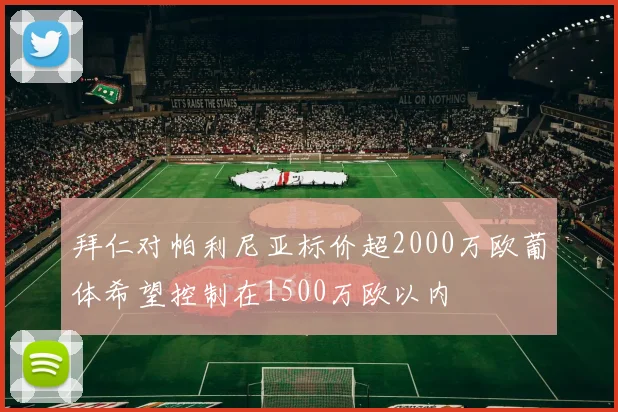 拜仁对帕利尼亚标价超2000万欧葡体希望控制在1500万欧以内